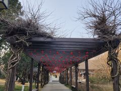 -白马涧龙池景区