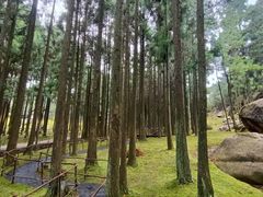 -玉苍山国家森林公园