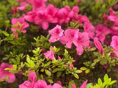 -重庆中央公园(渝北区)