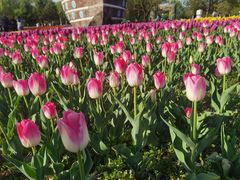 -长春公园(普阳街道)