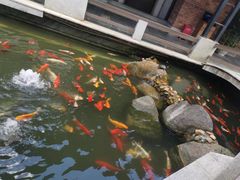 -阳春市花园酒店