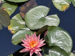 -尚贤河湿地