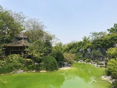-吴淞炮台湾湿地森林公园烧烤区