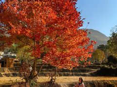 -塔川景区