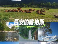 -黑河国家森林公园