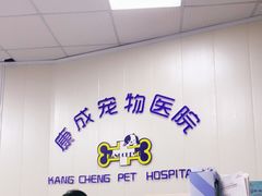 -康成宠物医院24H·CT·核磁共振