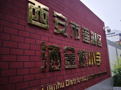 -马文章胖子甑糕(洒金桥店)