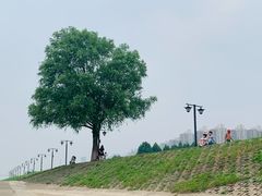 -武昌江滩