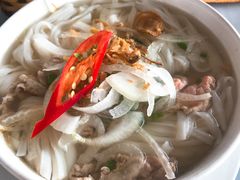 -Lanterns Vietnamese Restaurant