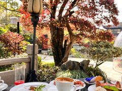 -杭州西子湖四季酒店-WL BISTRO西湖餐厅(灵隐路店)