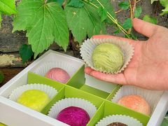 -好一朵茉莉花(老门东店)