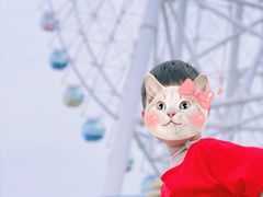 -琴岛之星摩天轮