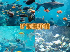 -长鹿旅游休博园