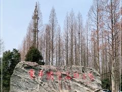 -东平国家森林公园