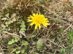 -合肥三国新城遗址公园