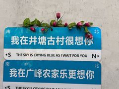 -井塘古村