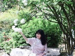 -铁山坪森林公园