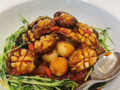 -青雅中餐厅(大连金石滩绿发希尔顿度假酒店)
