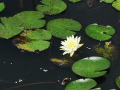 -长兴太湖图影湿地文化园