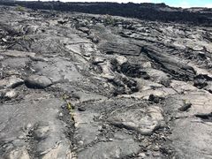-夏威夷火山国家公园