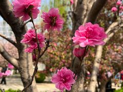 -元大都城垣遗址公园