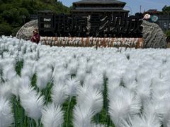 -白鹿原影视城
