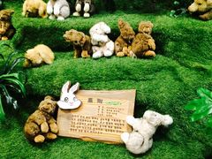 -济州岛泰迪熊博物馆