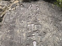 -横岗山森林公园
