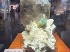 -湖南省地质博物馆