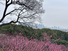 -无锡梅园公园