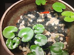 -曲水兰亭(北京四惠店)