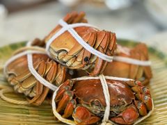 -蟹天蟹地农家菜·阳澄湖大闸蟹(浅水湾店)