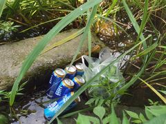 -北仑森林植物园