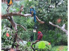 -广州长隆国际大马戏