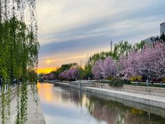 -元大都城垣遗址公园