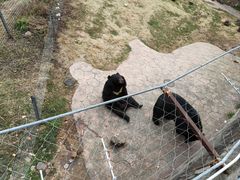 -无锡动物园·太湖欢乐园