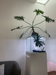 -Dr.U博士医疗美容医院