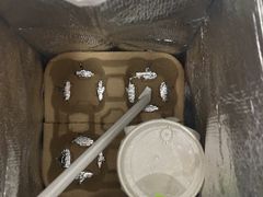 -奈雪的茶(仙林金鹰店)