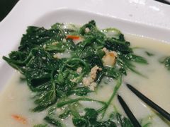 -陶缘一号·四季缘·老字号顺德菜·户外婚礼家宴(西滘店)