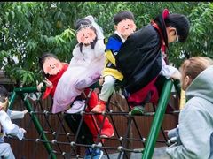 -满天星幼儿园(北京太阳宫园)