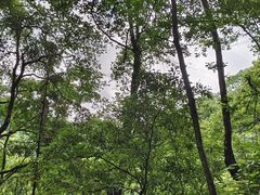 -桂林古东瀑布景区