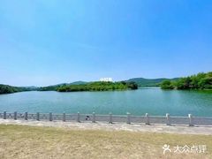 -佛手湖郊野公园