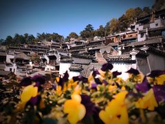 -婺源风景区