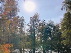 -南宁花花大世界景区