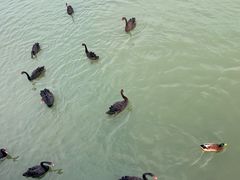 -天津东丽湖风景区