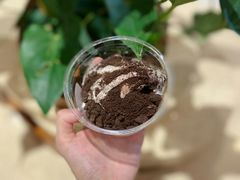 明前茉莉冰淇淋-夻茶HUATEA(水晶郦城店)