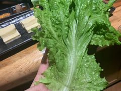 生菜-九田家黑牛烤肉料理(衡百国际店)