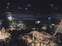 -自贡恐龙博物馆