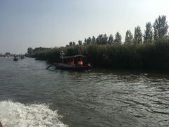 -白洋淀景区