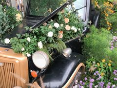 -深圳仙湖植物园